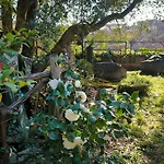 Cassia, Luminoso Open Space Nel Verde , Casa Dei Leoni