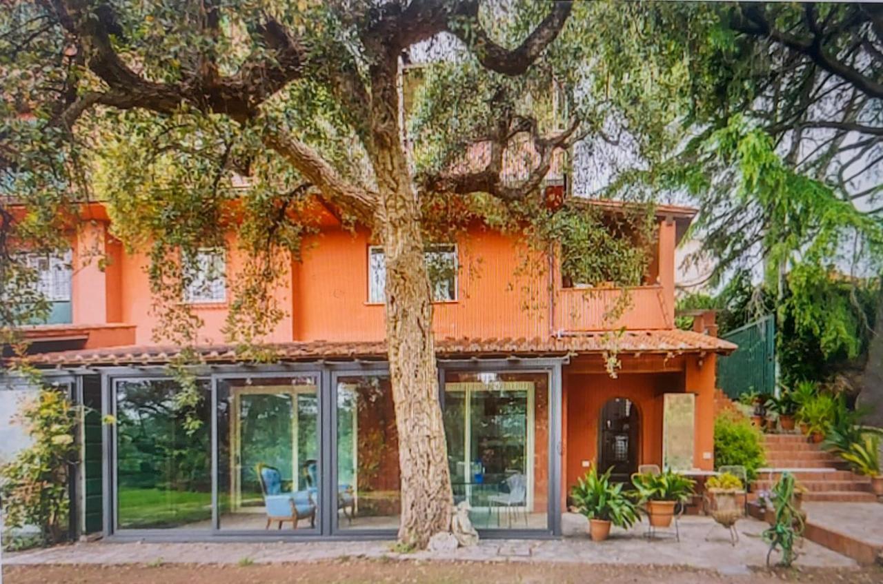 Apartment Cassia, Luminoso Open Space Nel , Casa Dei Leoni